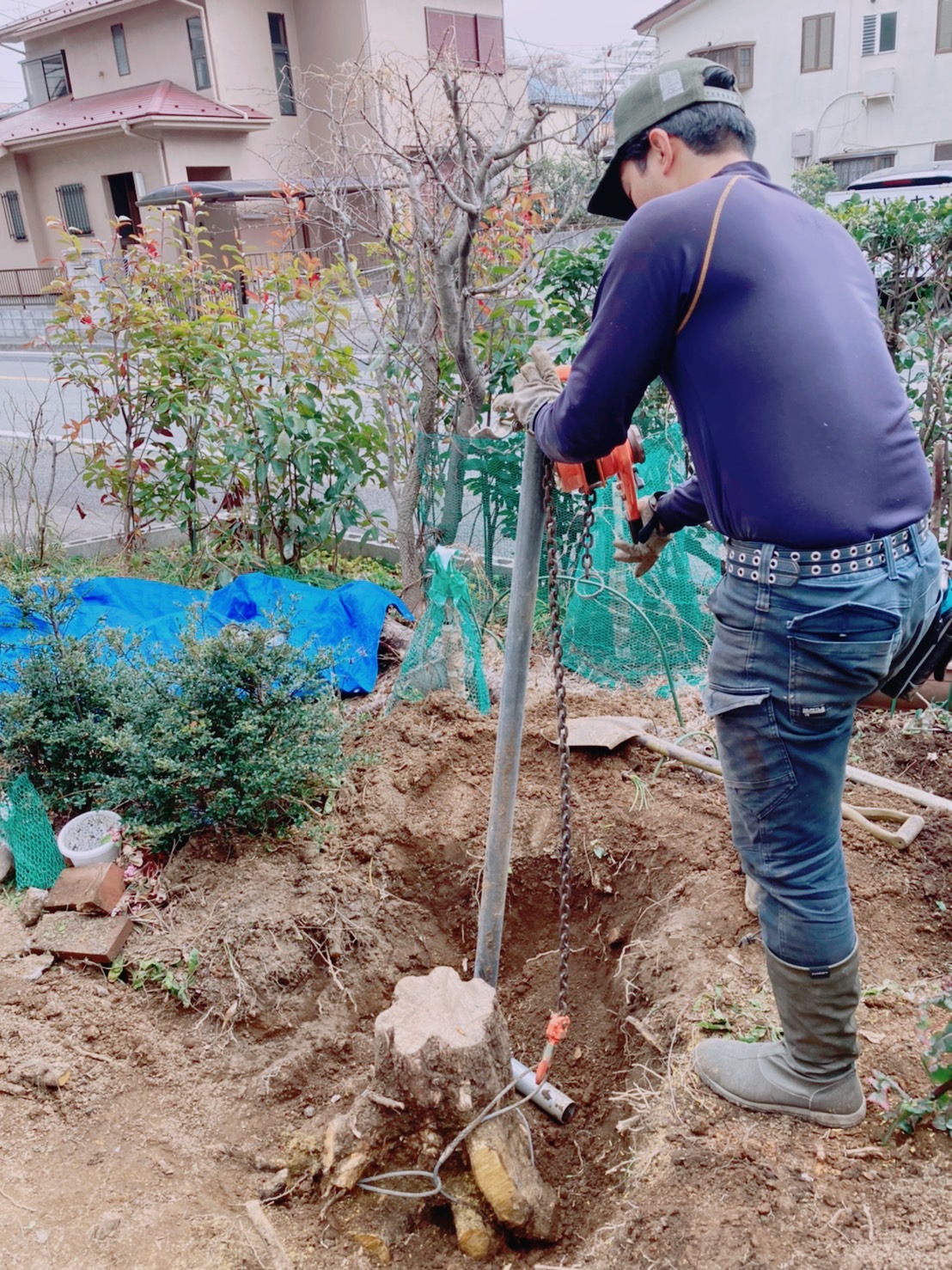 抜根(個人邸) - 横浜・藤沢で植木の剪定・伐採・造園工事は梶山庭苑で