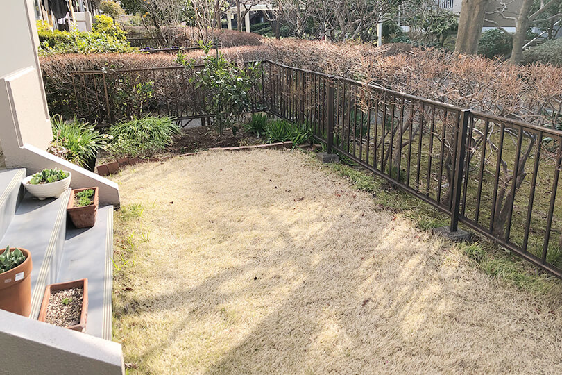 芝張り