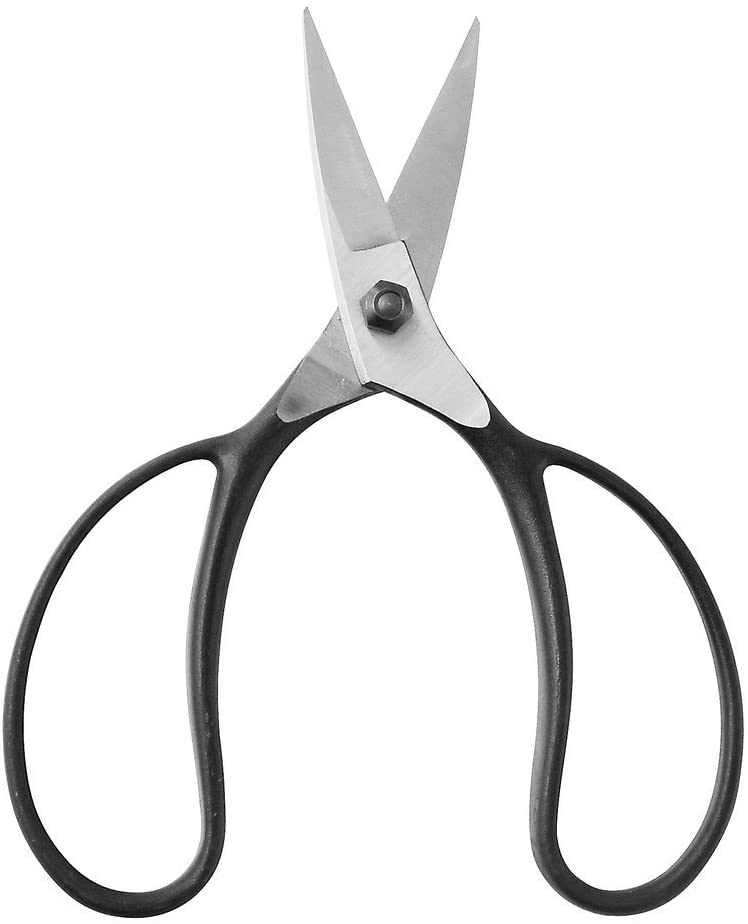 木バサミ 51DD5R5zHsL._AC_SL1000_.jpg