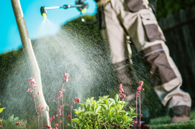 庭の消毒（殺虫剤散布）、何の薬を使うの？どうやって撒くの？