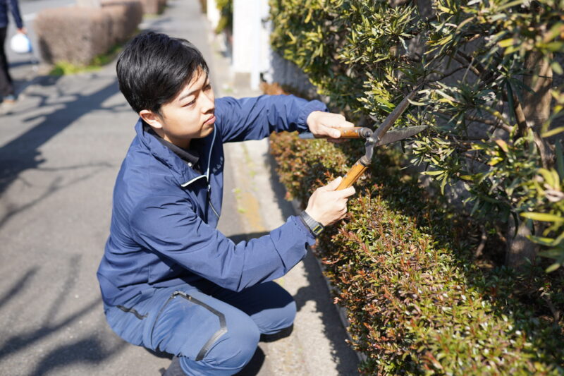 プロの道具紹介 その4 刈込鋏…低木や生垣を刈り込もう