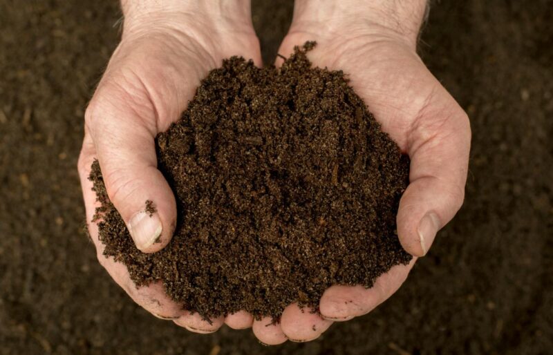 肥料や堆肥を選ぶ時にチェックするべき、4つの数字とは？