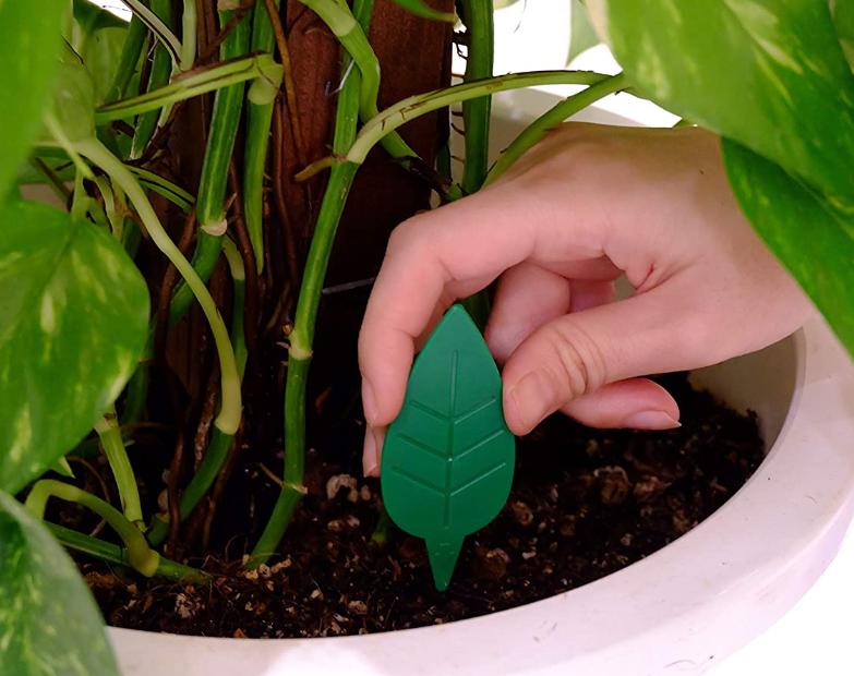 コバエが飛び回っています。どうすればいいでしょうか？②…お勧めの対策グッズ