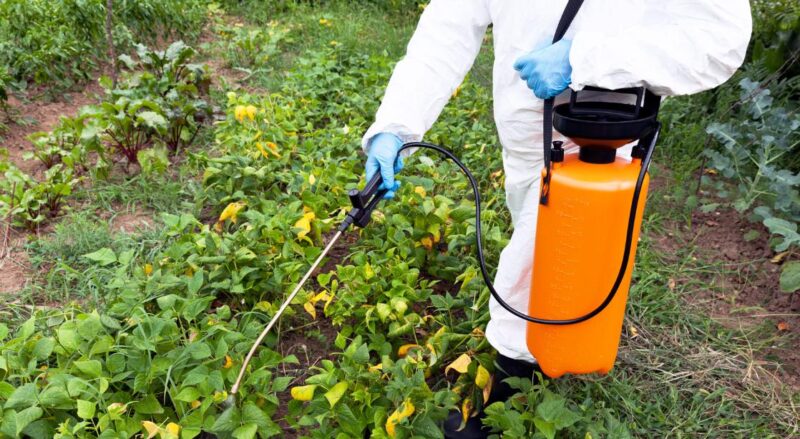 草むしりが大変なんだけど、除草剤って安全安心？それとも危険？