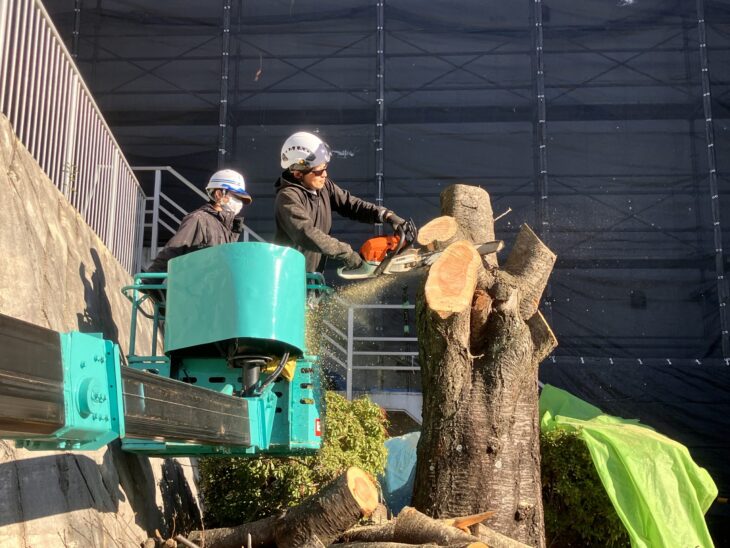 伐採(法人) 横浜市